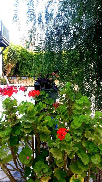Emelce Apart Bodrum Extérieur photo